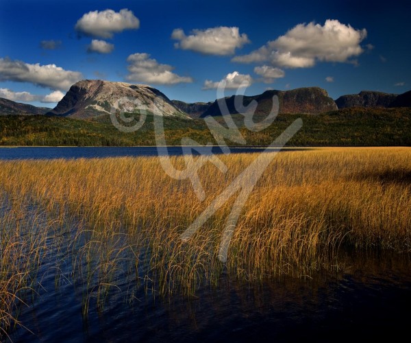 Gros Morne National Park